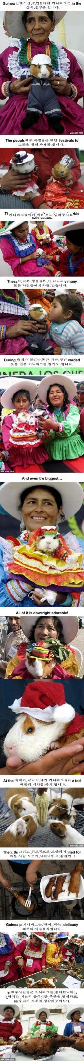 페루의 기니피그 축제