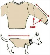 오래된 스웨터 강아지에게 활용하는 법.jpg