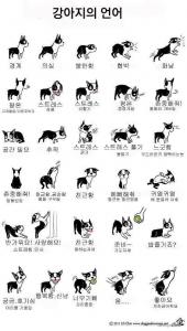 강아지의 언어