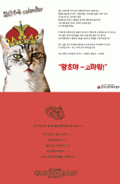 한국고양이보호협회에서 2014년도 탁상용 카렌다를 판매합니다.