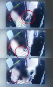 최시원 가족 반려견이 한일관 대표 무는 장면 담긴 CCTV 영상 공개돼..