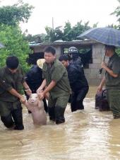 중국 사천에서 구조된 스마일 돼지