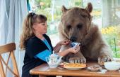 곰을 데려다 키운 러시아 부부