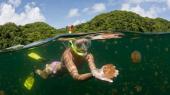 세계 유일의 해파리 호수